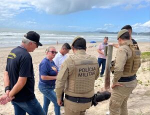 Pit Bull é cruelmente assassinado em Navegantes