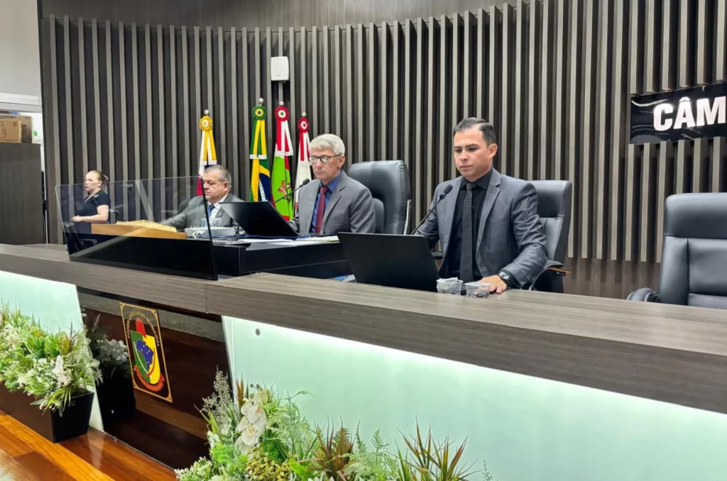 Imagem representativa da discussão sobre animais abandonados na Câmara de Vereadores de Araranguá