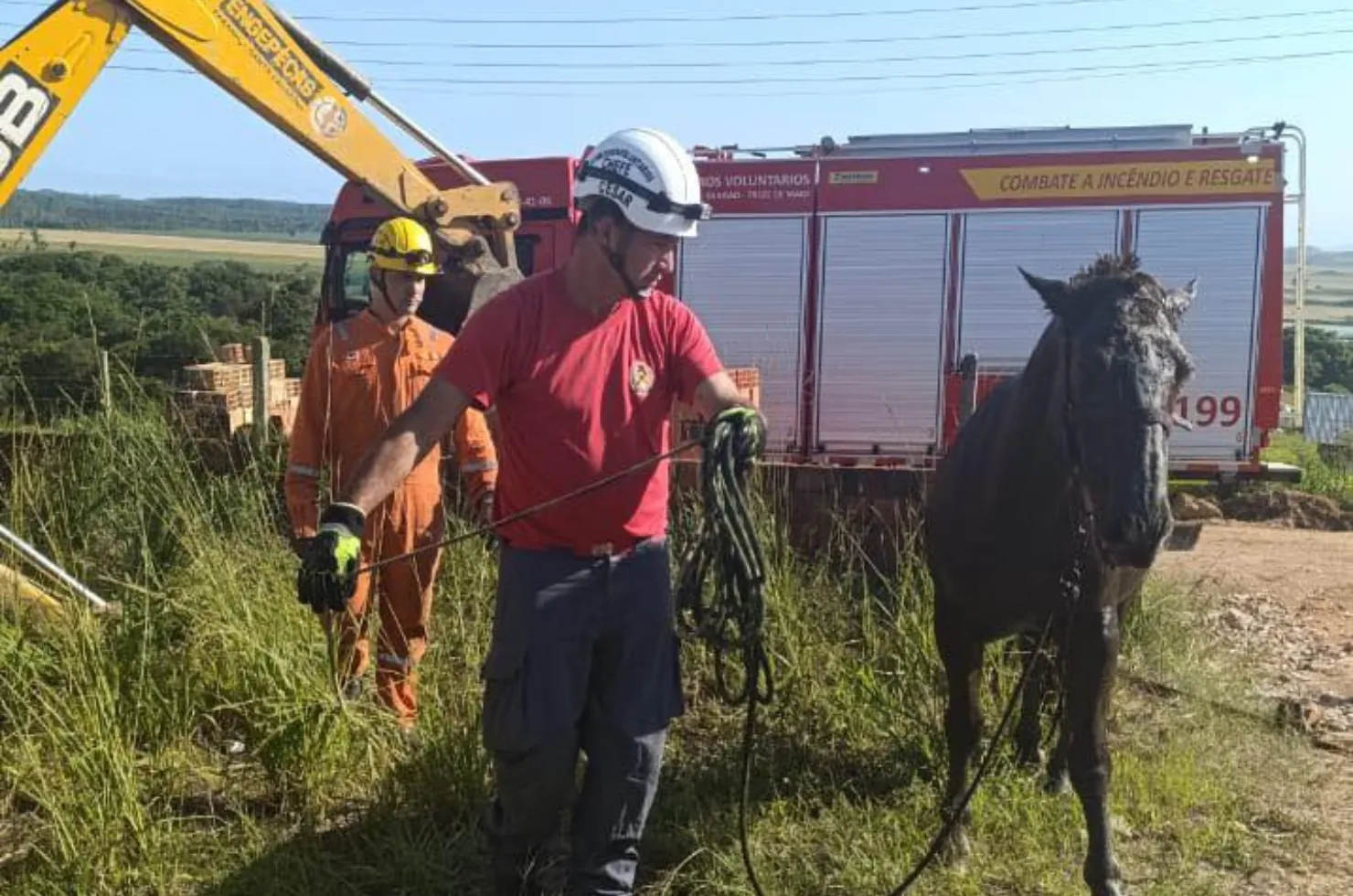 Cavalo sendo retirado de fossa em Sangão