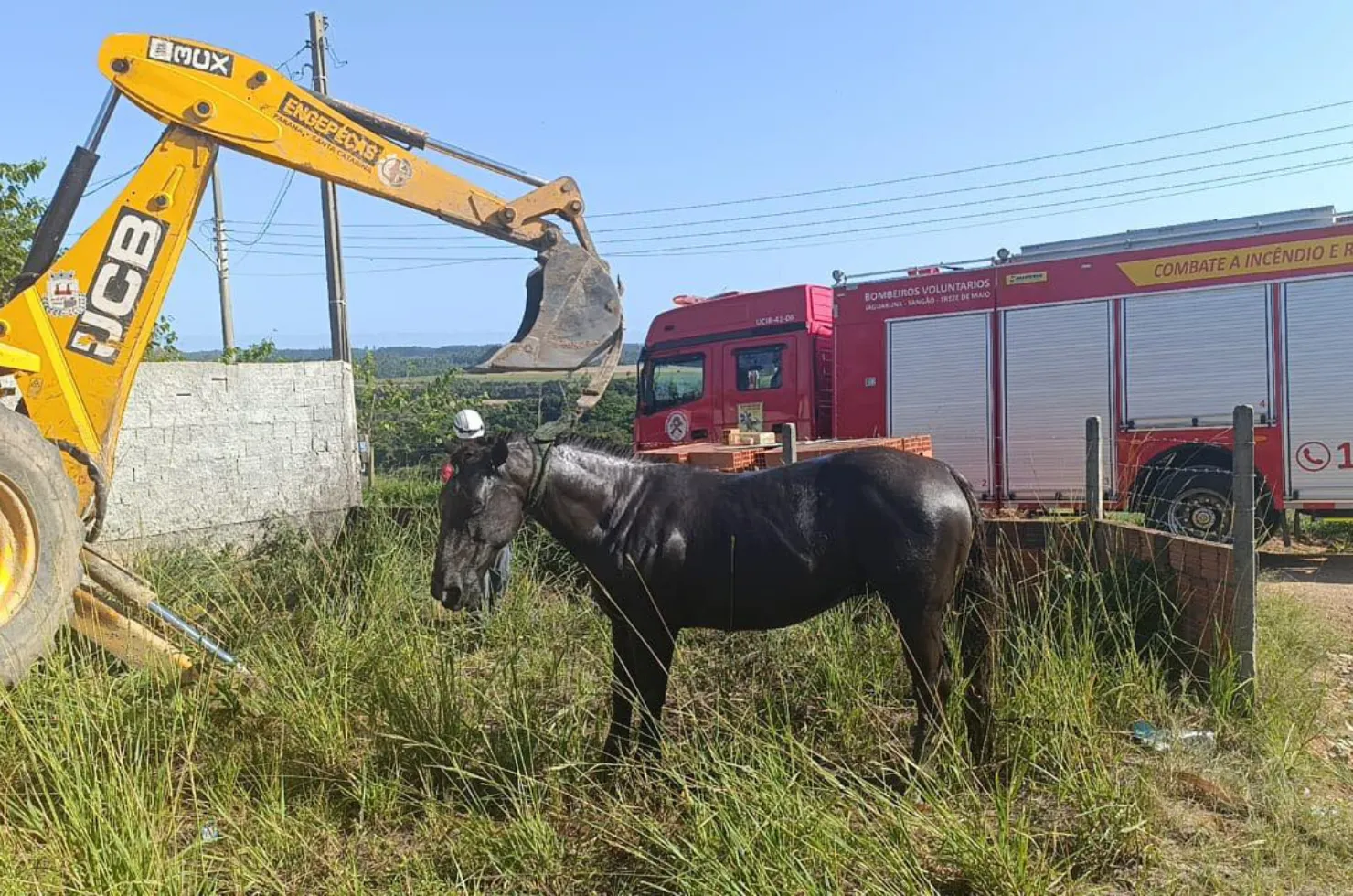 Cavalo sendo retirado de fossa em Sangão