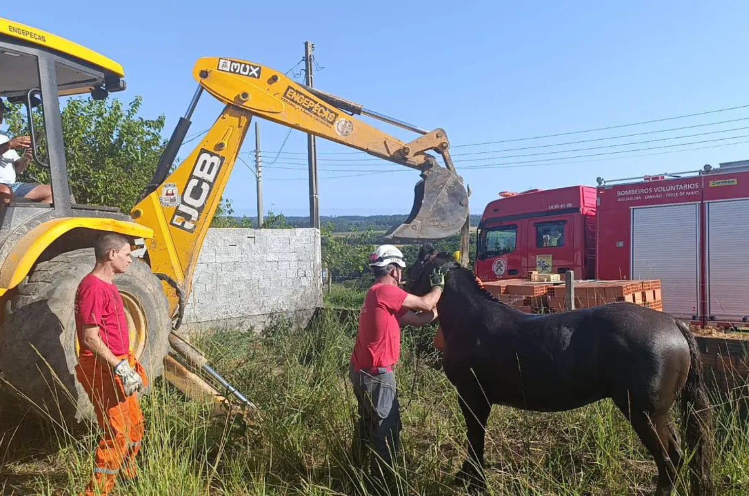 Cavalo sendo retirado de fossa em Sangão