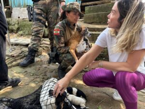 Cães são retirados de residência após decisão judicial