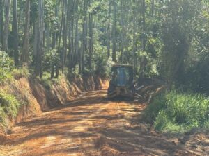 Estrada do interior recebe melhorias em Tubarão