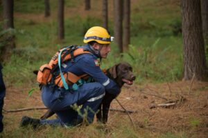 Bombeiros de SC certificam cães de busca e resgate 