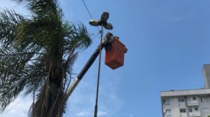 Tubarão abre licitação para iluminação pública