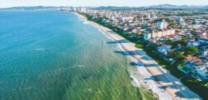 Costa Catarinense contaminada de café e pesticidas