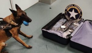 Homem é preso com drogas no aeroporto de Floripa