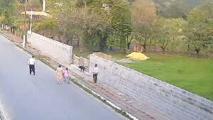 Mulher é presa por maus-tratos a cachorra na capital