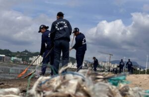 Prefeitura e Casan promovem limpeza na Beira-Mar de SJ
