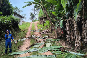 Ruas e praias de Garopaba passam por limpeza