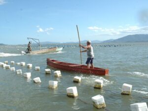 Maricultores têm até março para enviar relatório