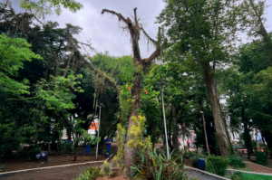 Avenida de Tubarão será parcialmente interditada