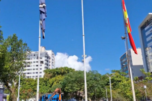 Enxame de abelhas chama atenção no Centro de Tubarão