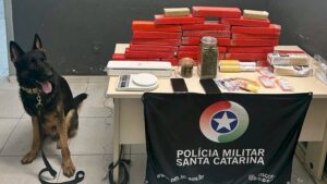 Operação em Florianópolis apreende 25 kg de drogas