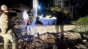 Polícia resgata animal usado em Farra do Boi em SC