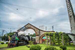 Passeios de trem resgatam tradição da Uva Goethe