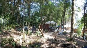Ocupação irregular é notificada em parque de Itajaí