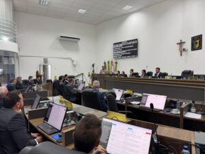 Vereadores de Palhoça debatem futuro da Celesc