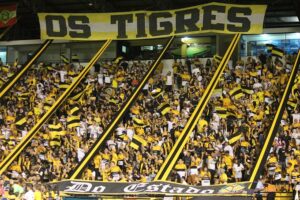 Punição da torcida do Tigre é reduzida com exigências