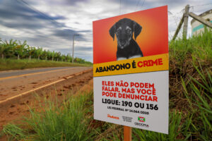 Criciúma intensifica o combate ao abandono de animais