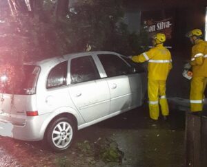 Galho cai sobre carro e mobiliza bombeiros