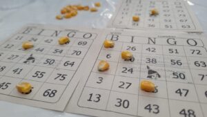 Apae de Cocal do Sul promove bingo beneficente
