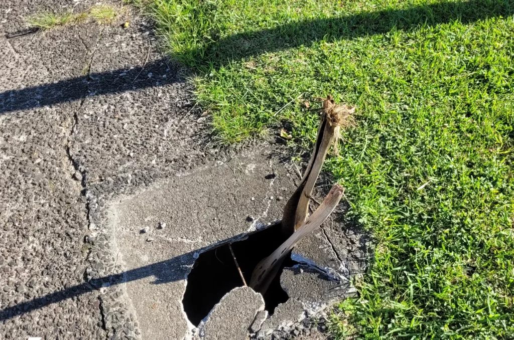 Calçadas da Avenida Centenário em Criciúma com buracos e tampas quebradas, representando risco para pedestres e corredores