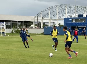 Avaí inicia treinos de olho no duelo contra Cuiabá