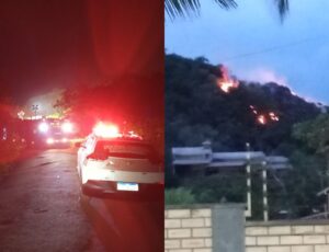 Incêndio florestal atinge vegetação nativa em SC