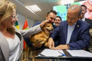 Maior programa de castração animal é lançado em SC