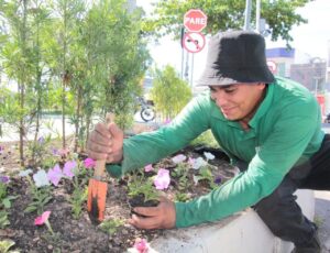 Navegantes planta 7,5 mil mudas nos espaços públicos