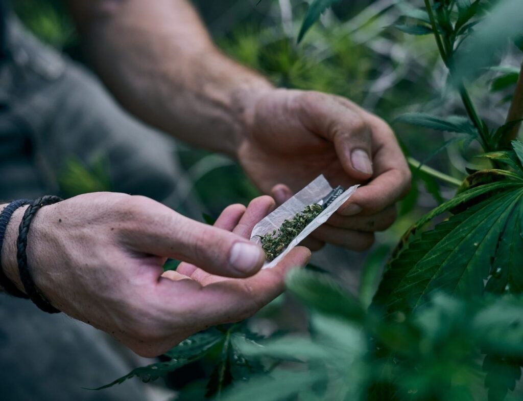 Mais de 250 multas já foram aplicadas por porte e uso de drogas em espaços públicos em SC