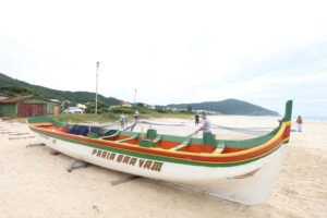 Safra da Tainha 2025: Tradição e Cultura no Litoral