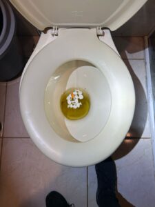 Mulher tenta se livrar de drogas em vaso sanitário