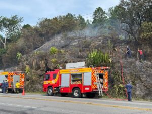 Bombeiros controlam incêndio em morro de SJ