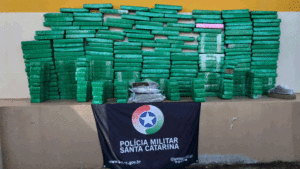 Forças de segurança apreendem 150 kg de maconha
