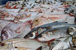 Pesquisa de preços para pescados é divulgada; confira