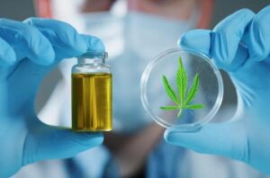 Medicina canabinoide: saiba mais sobre a especialidade