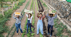 Comissão aprova nova regra para preços agrícolas