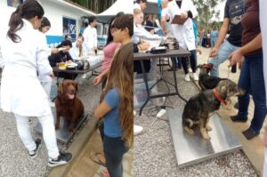 Cidade da região inaugura Centro de Saúde Animal