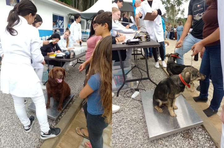 Cidade da região inaugura Centro de Saúde Animal