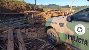 Polícia Ambiental aprende madeira extraída ilegalmente