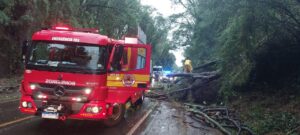 Temporais em SC demandam atuação do Corpo de Bombeiros