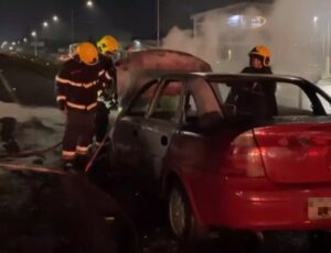 Carro pega fogo e fica destruído na BR-101