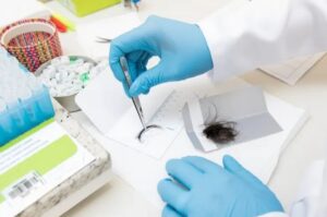 Exame toxicológico será exigido na 1ª CNH