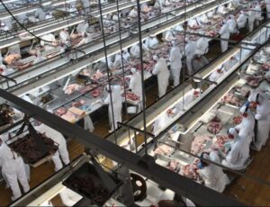 Exportações de carnes de SC são as melhores em 28 anos