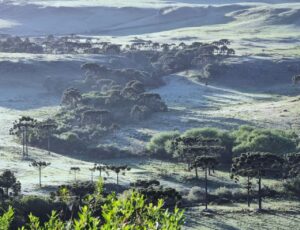 Frente fria traz risco de neve e geada em SC