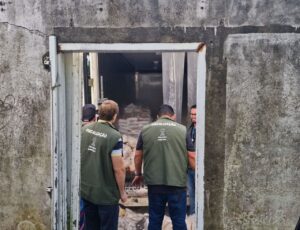 Trabalhadores viviam em condições insalubres em padaria