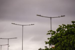 Poste com defeito? Ferramenta facilita a denúncia