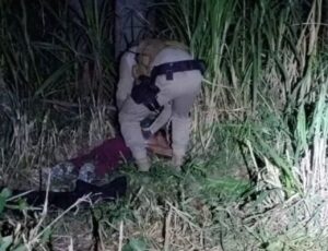 Mulher é salva de feminicídio no Vale do Itajaí